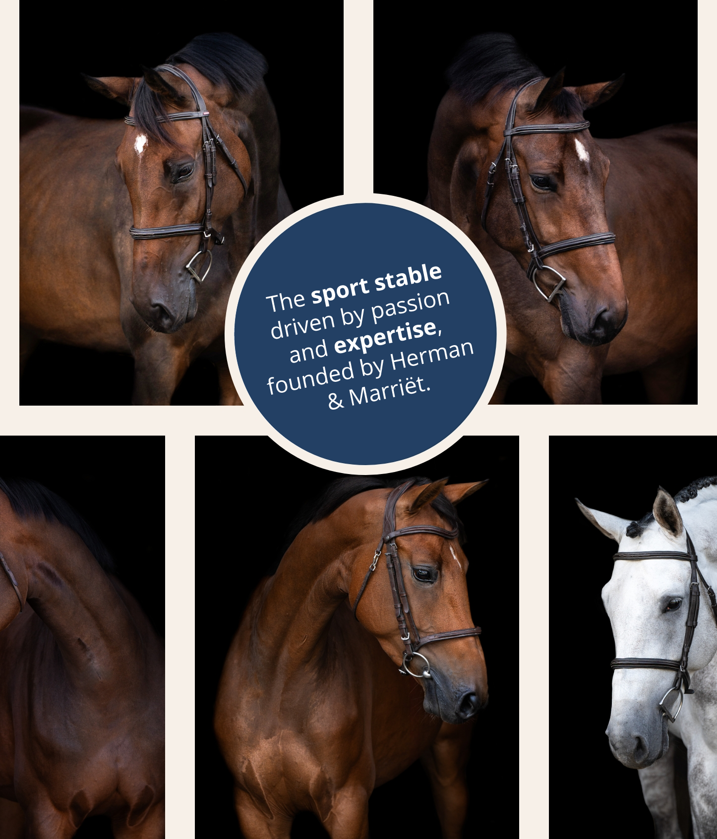 paardenluxephone
