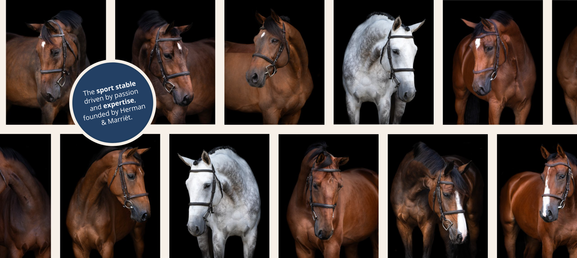 paardenluxedesktop