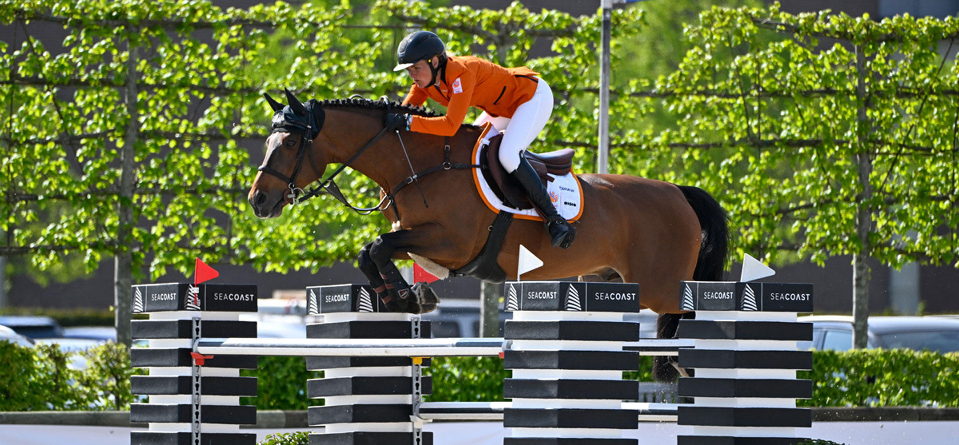 foto-sh-sporthorses
