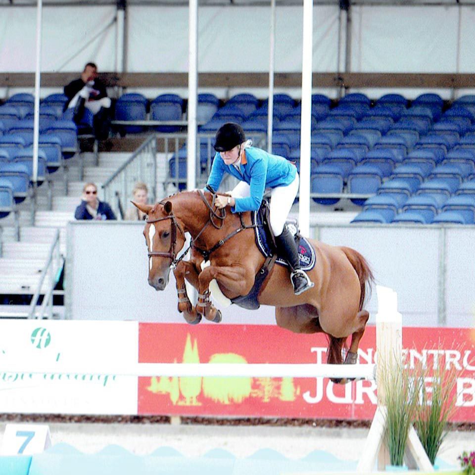 SH-sporthorses_sportpaarden-stal_paarden_10